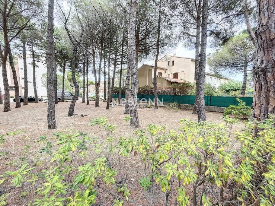 2980-Appartement 1 Ch A 100M De La Mer Argelès-sur-Mer Dış mekan fotoğraf