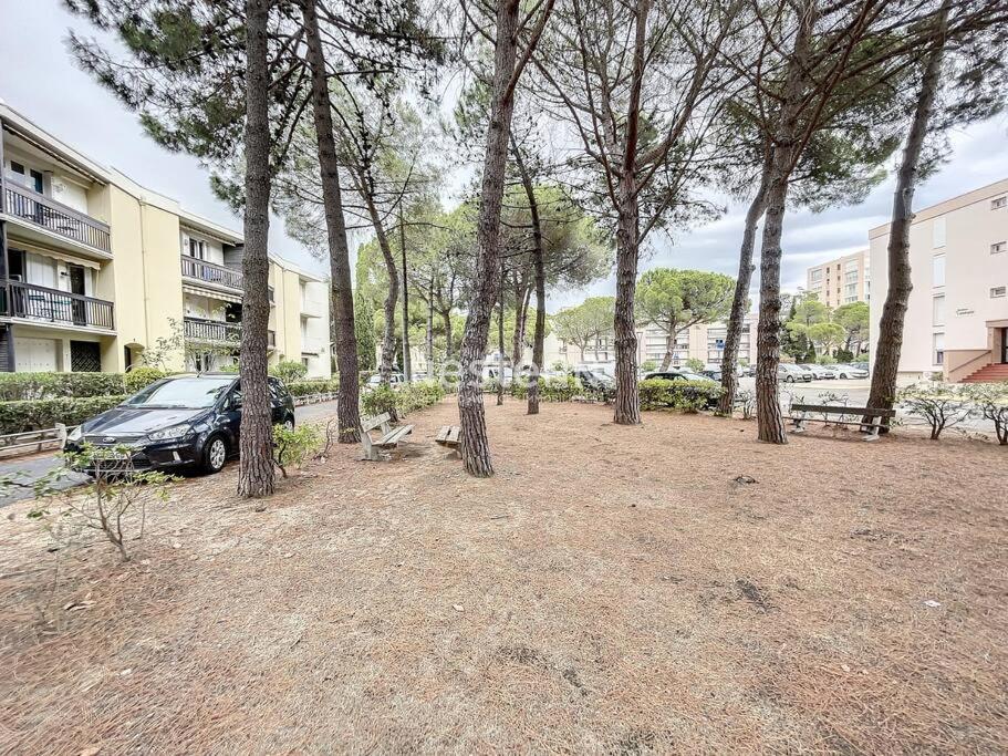 2980-Appartement 1 Ch A 100M De La Mer Argelès-sur-Mer Dış mekan fotoğraf